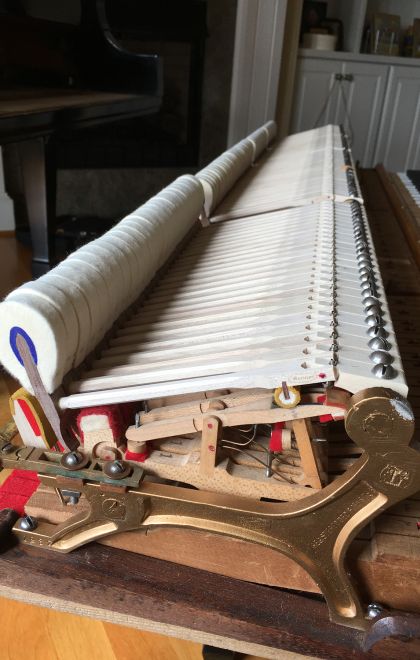 1911 Steinway